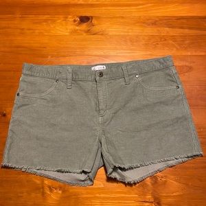 Carve Designs 4” Oahu short